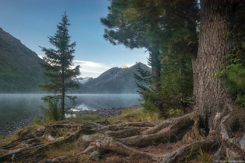 пейзаж, алтай, горы, озеро, утро Утро на Мультинском озере фото превью