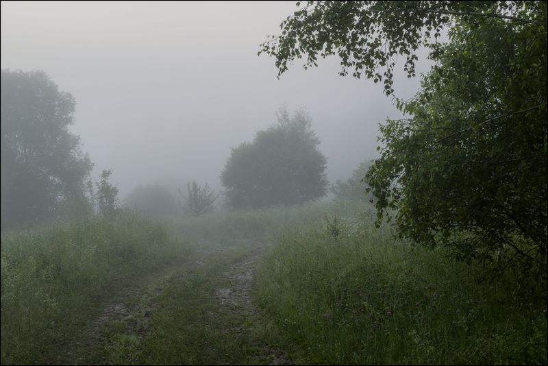 Про ёжика в тумане (ёжик за кадром). фото превью