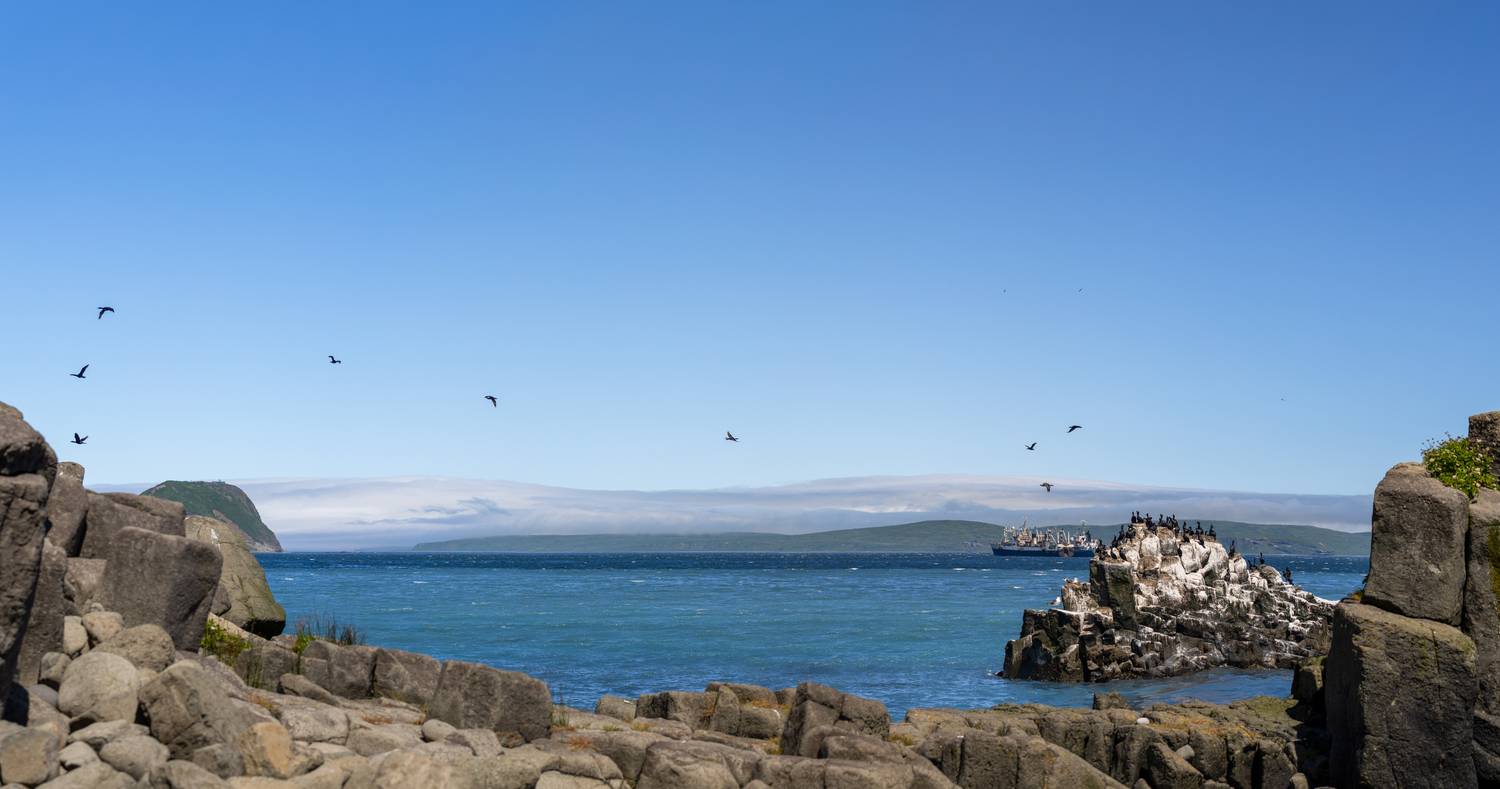 , Ирина Шестакова