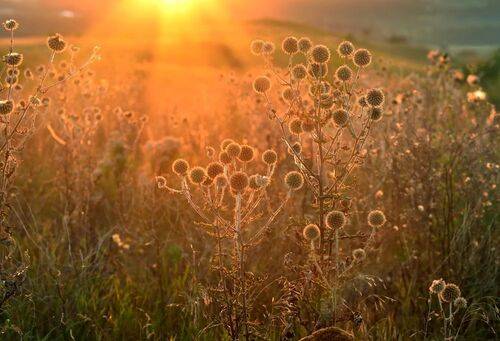 Вставало солнце