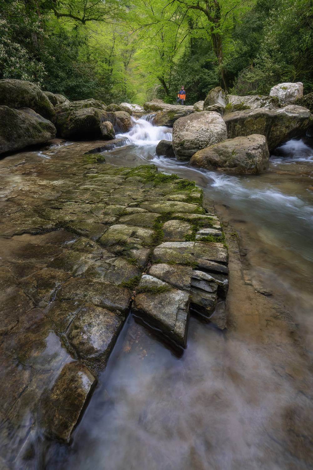 , Константин Маланин