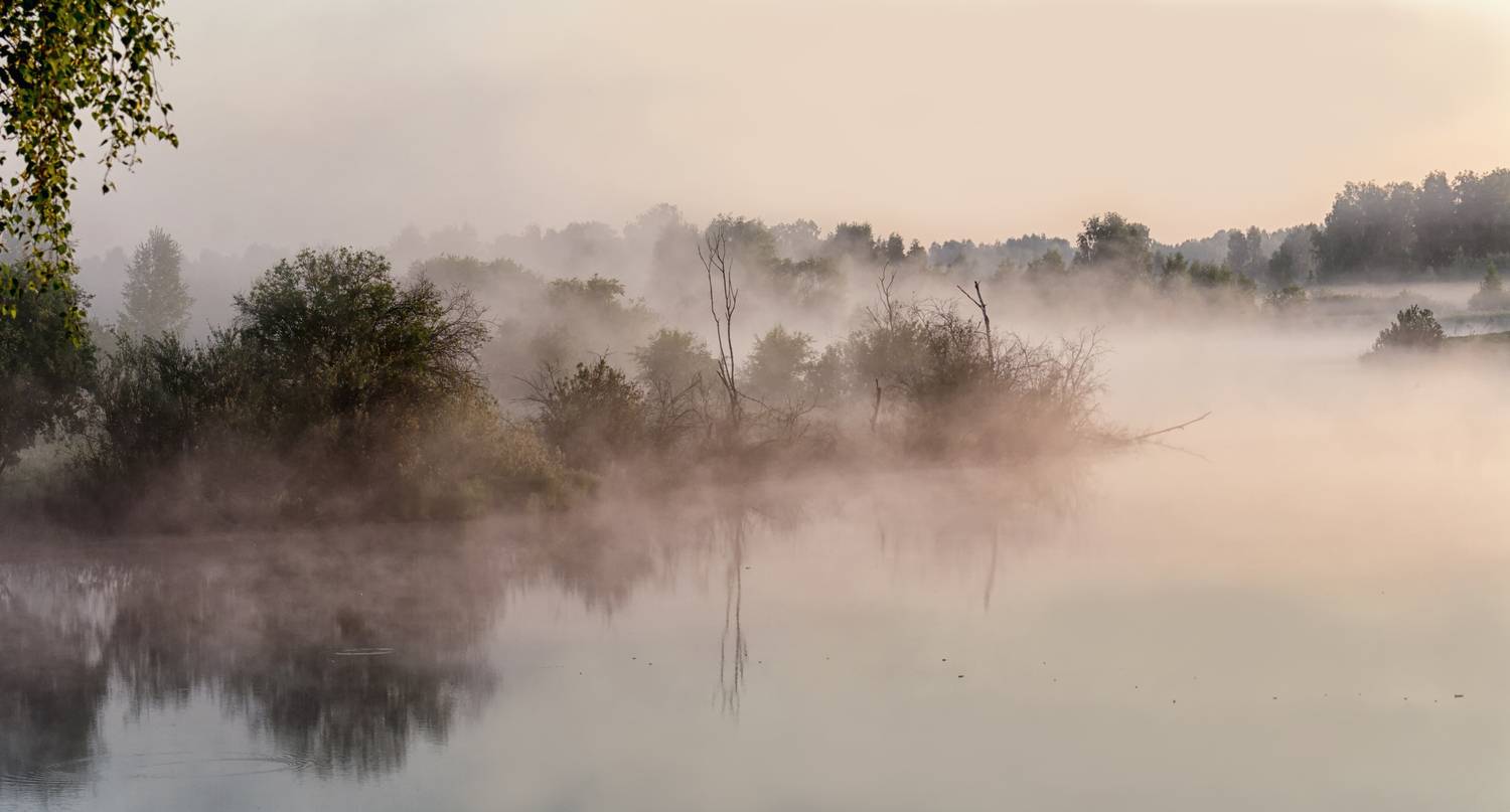 утро, тайга, туман, Мочалова Марина