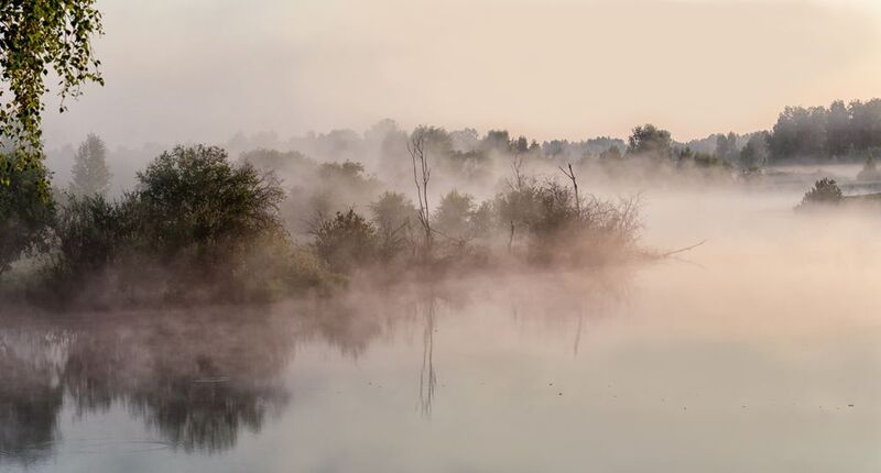 утро, тайга, туман Утро в тайге. фото превью