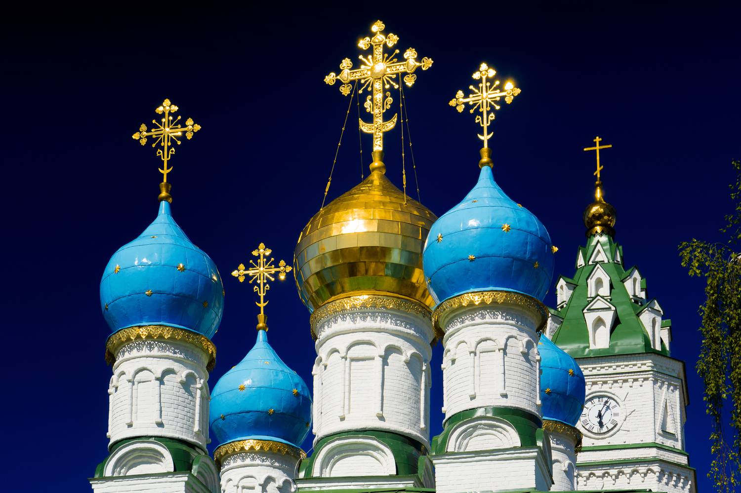 тула, тульская область, Сергей Зимин