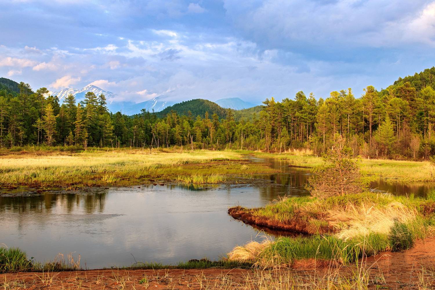 северный байкал, Добролюбова Тамара