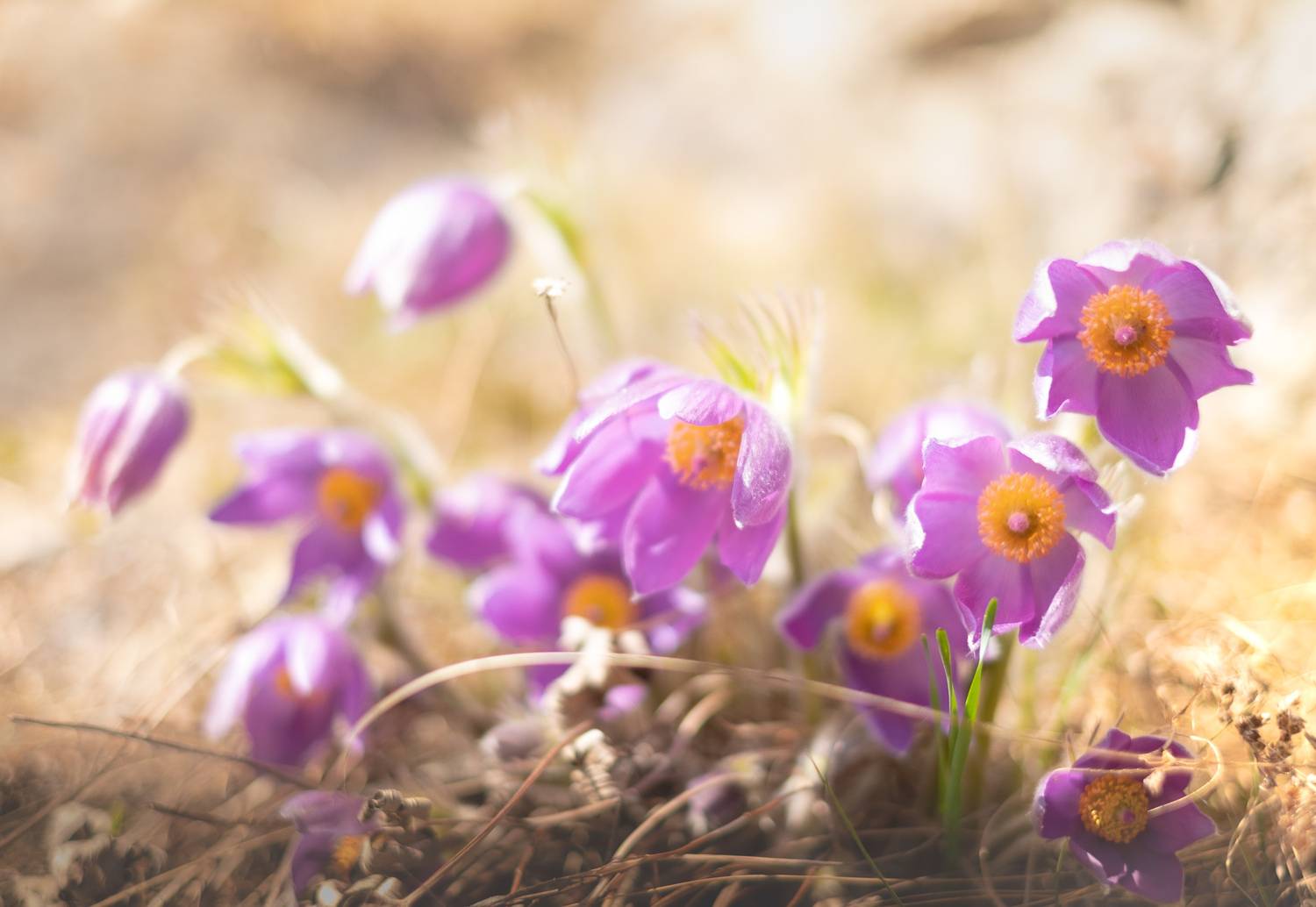 , Коротеев Вадим