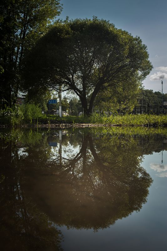 P395 фото превью