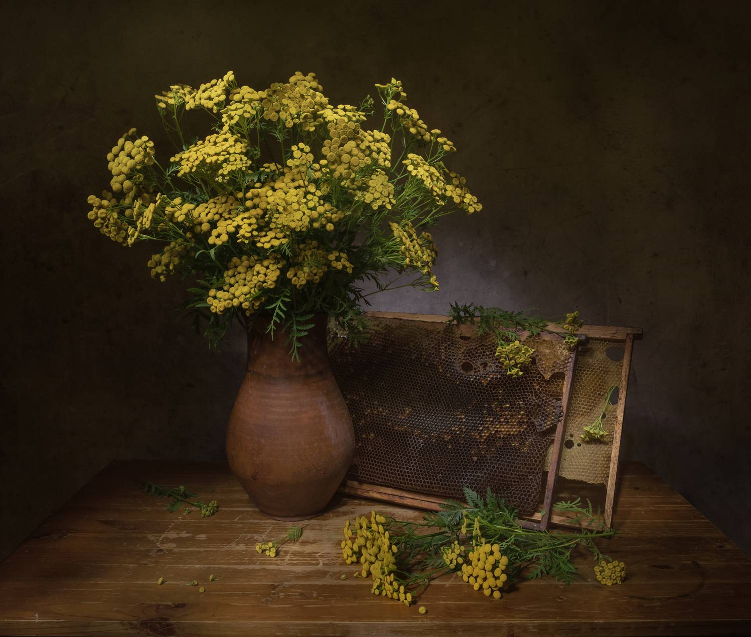 натюрморт, пижма, соты, Татьяна Феденкова