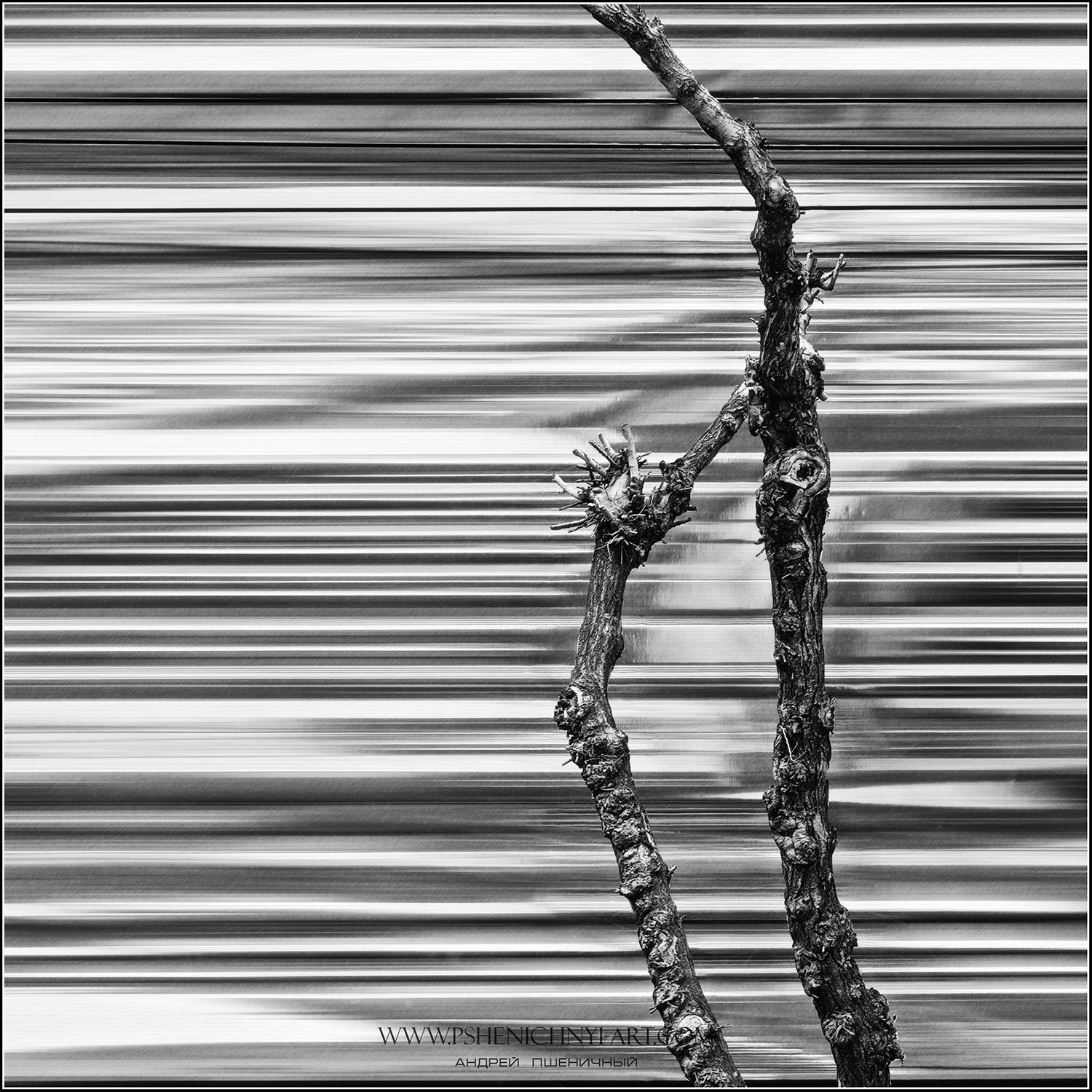 силуэт, город, дерево, сталь, концепт, монохром, минимализм, Пшеничный Андрей