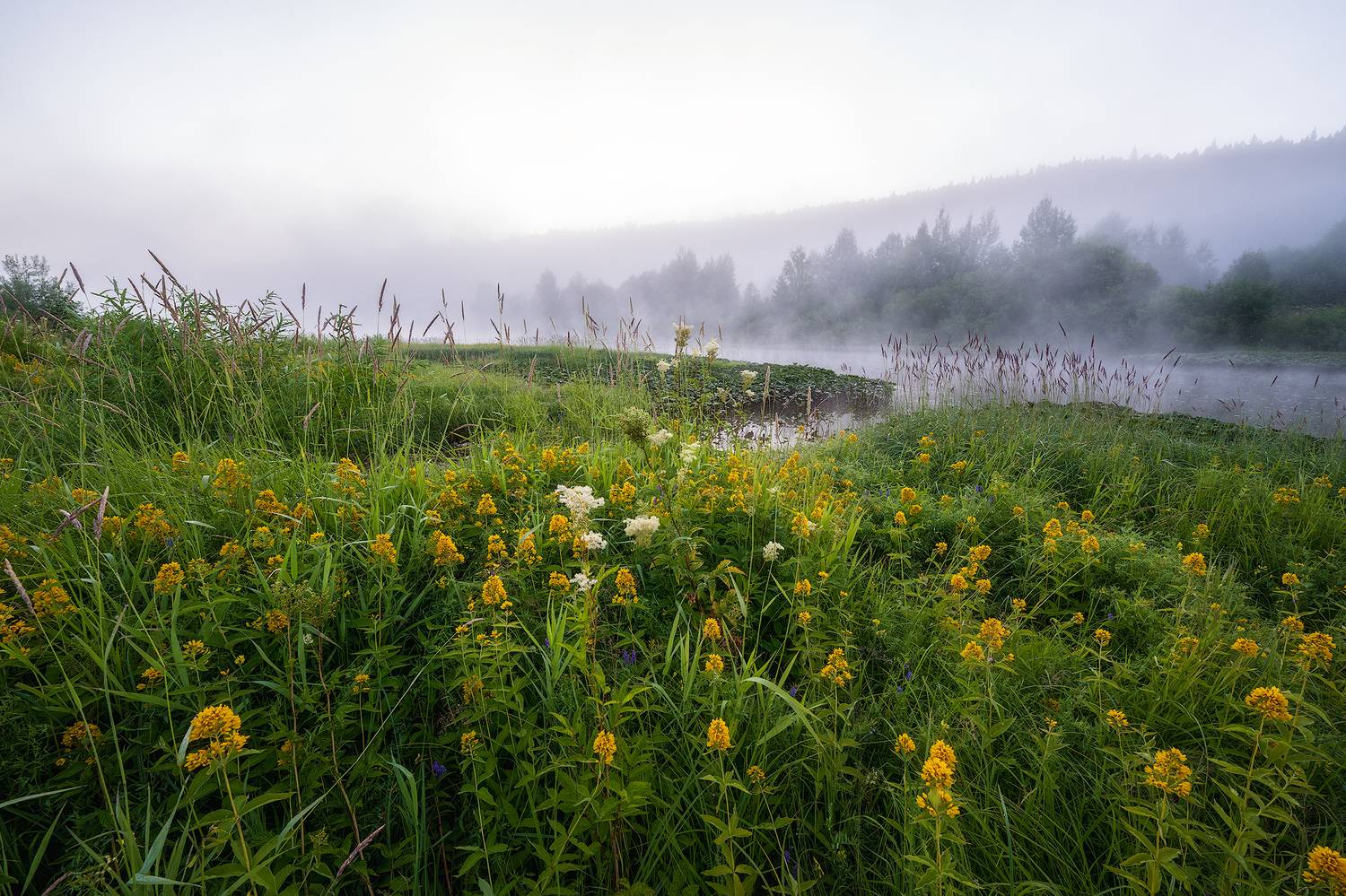 пермский край, пейзаж, рассвет, красота природы, поле, лето, река, природа, дикая природа, койва, лес, усть-койва, Кузнецов Кирилл