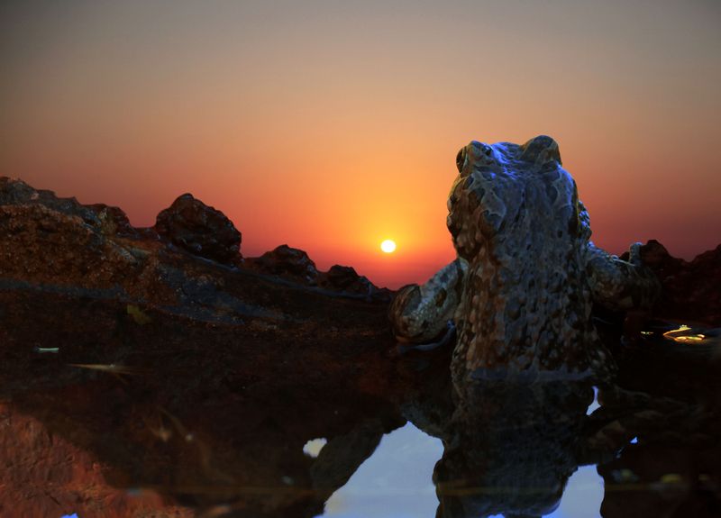 Фантазия на тему.. фото превью