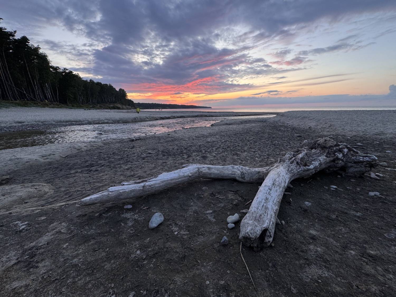 , Аседач Александр