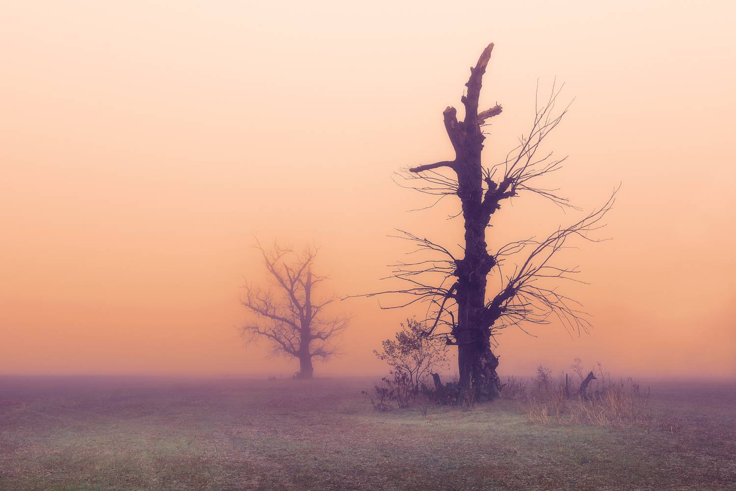 , Mariyana Atanasova - Lucero