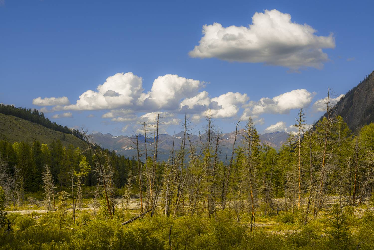 россия, горный алтай, согра, Поляков Андрей