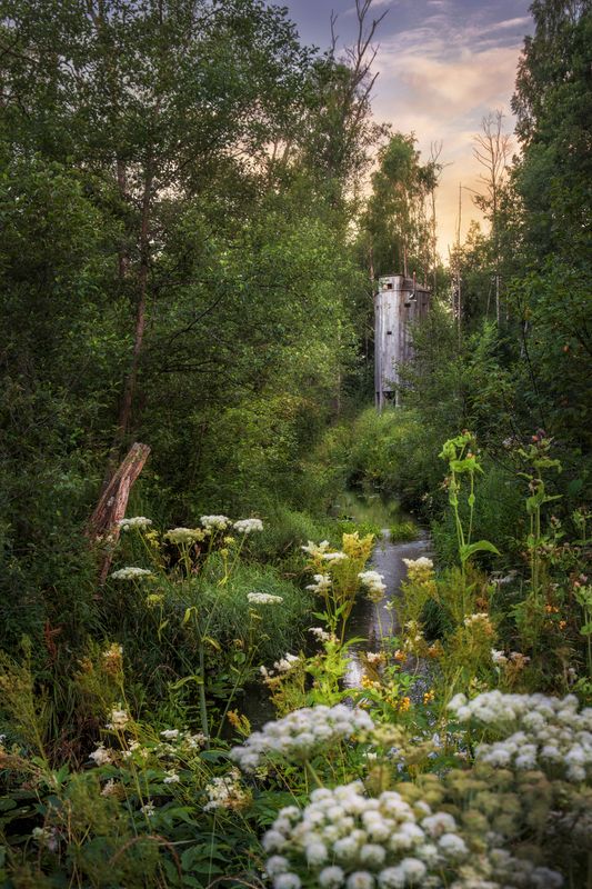 Парк Бродского фото превью