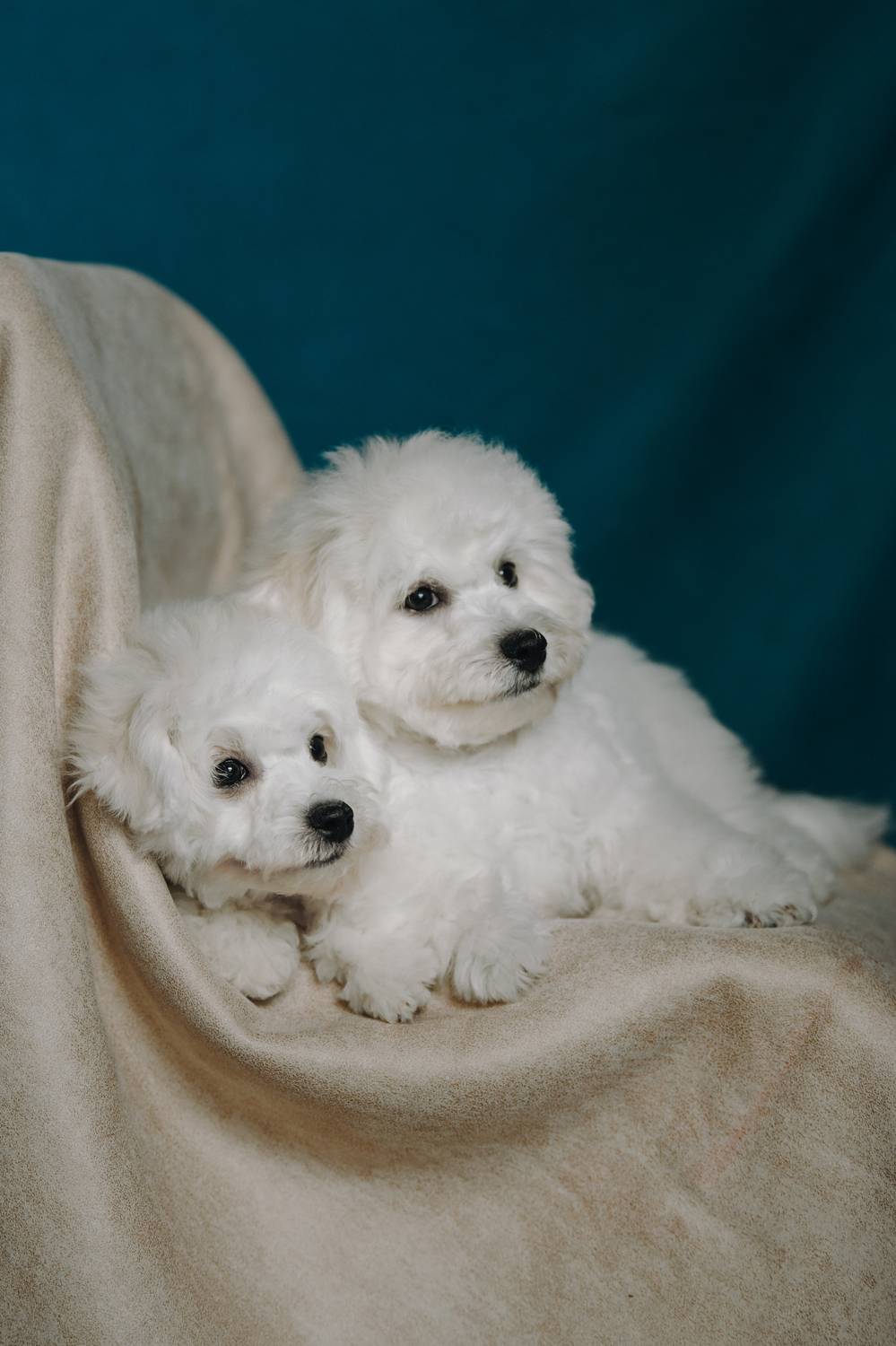 , Алена Ковалёва