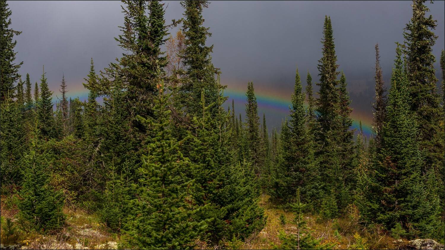 ергаки, Беляев Юрий
