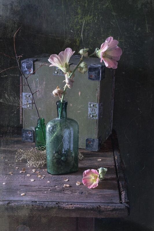 Натюрморт с мальвой фото превью