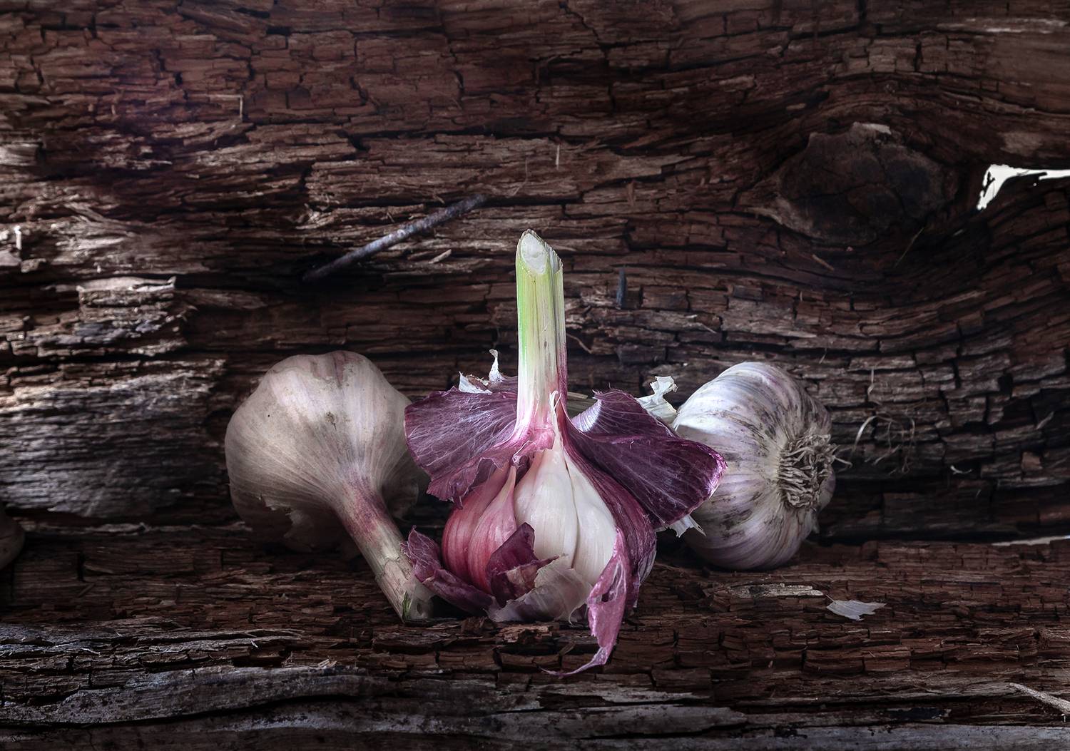 чеснок., Анкудинов Леонид