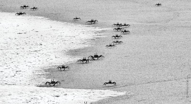 Песчаный дозор фото превью