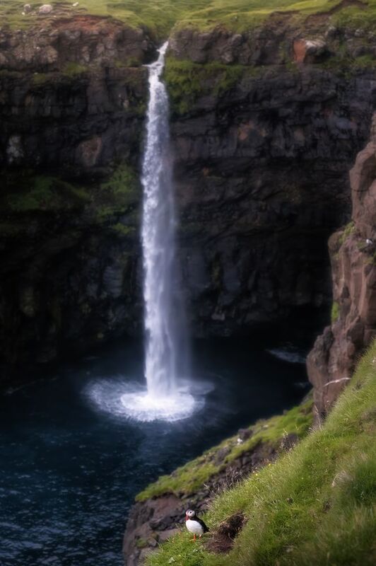 Puffin\\\'s waterfall фото превью