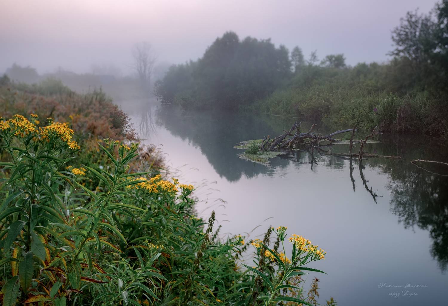 , Никитин Алексей