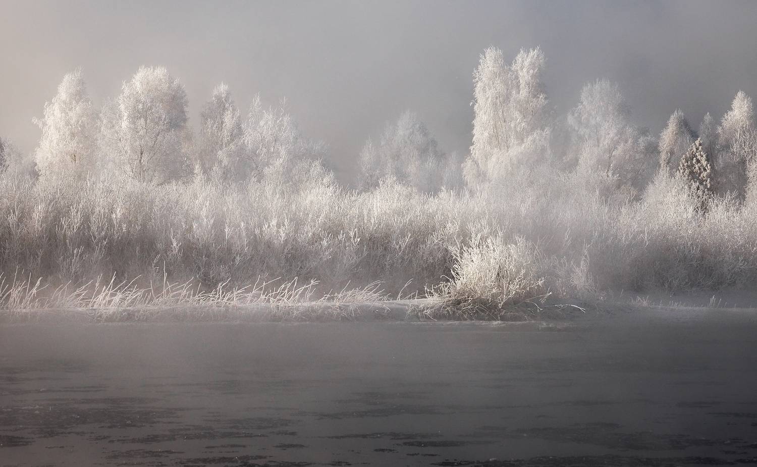 , Александр Попов