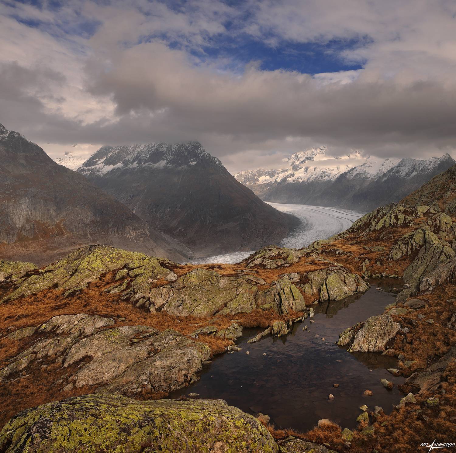 swiss, Матвеев Николай