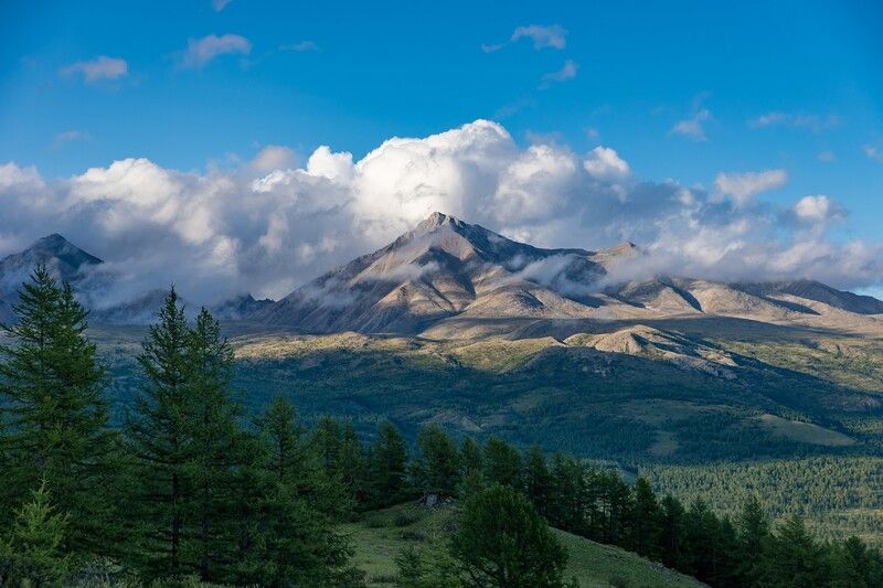 монголия, горы, лето, вечер, закат, мунку-сардык, зелень В вечерних грезах фото превью