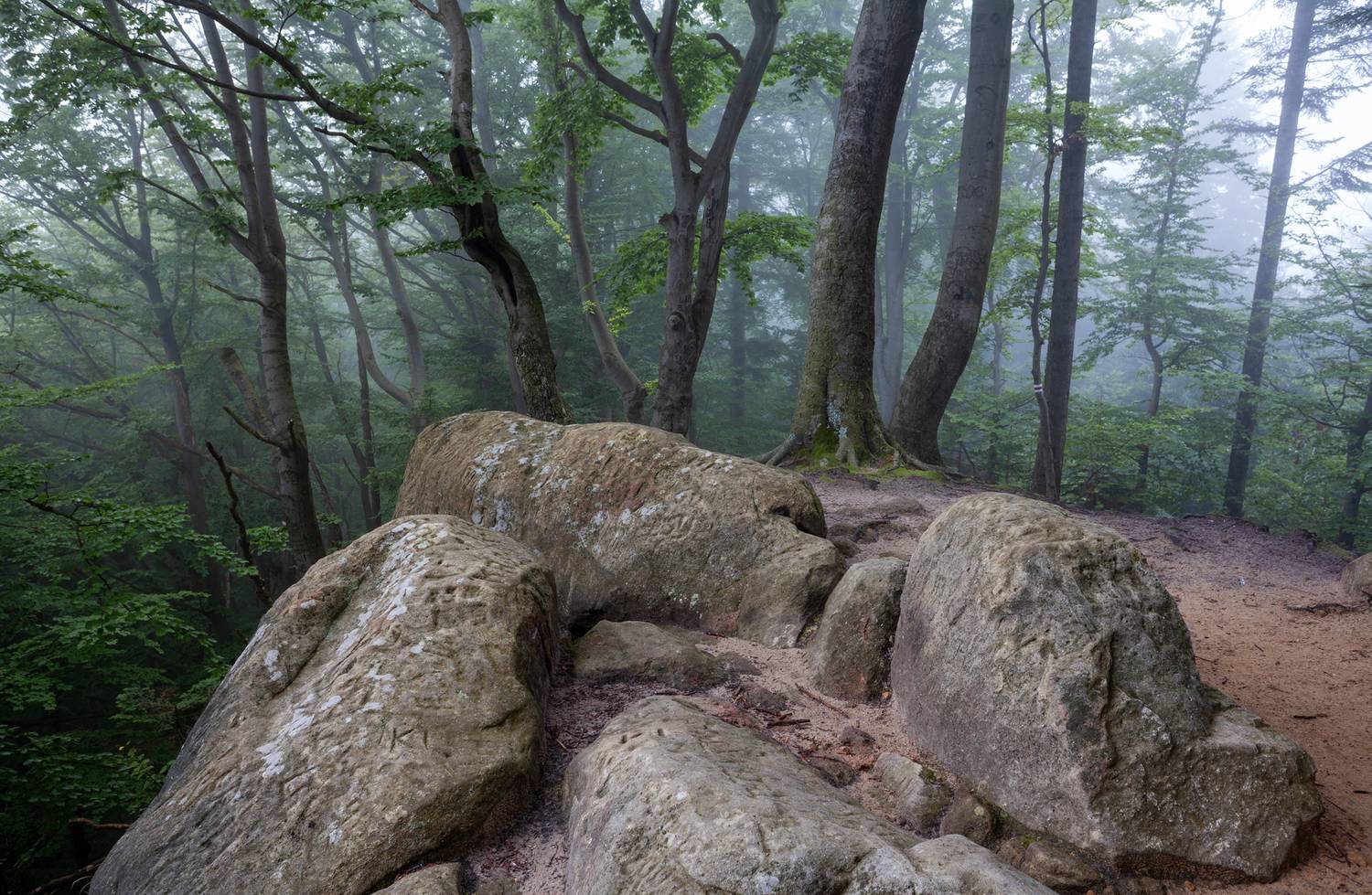 ,  Mirosław Pruchnicki