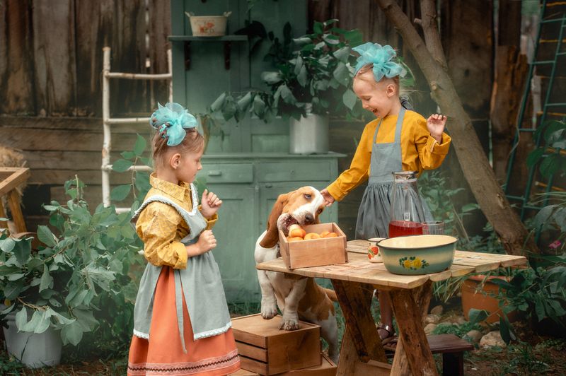 фото превью