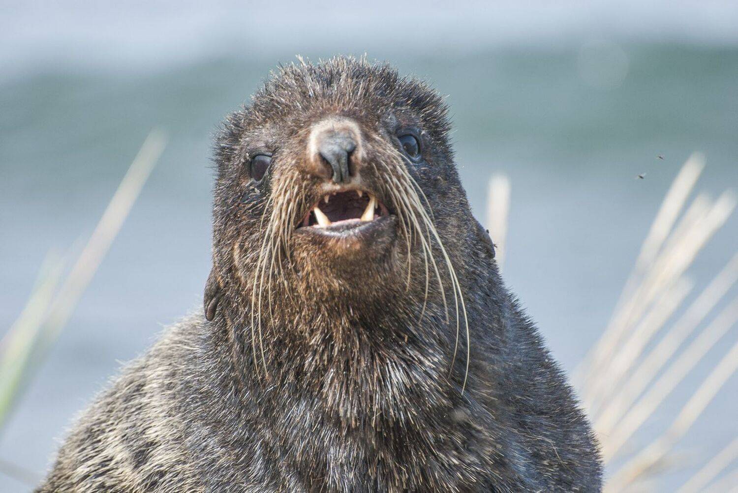 , Виталий Филючков