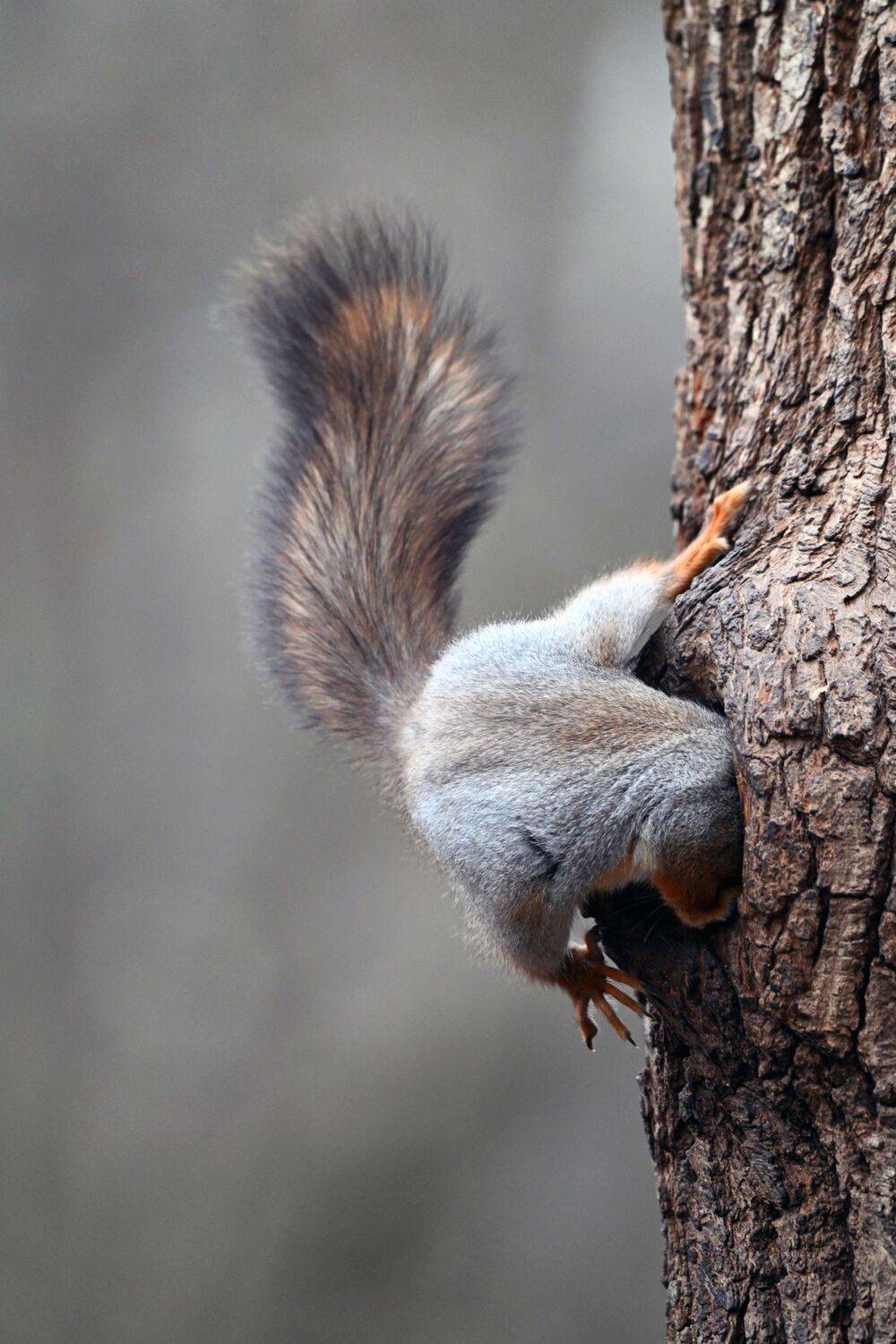 , Виталий Филючков