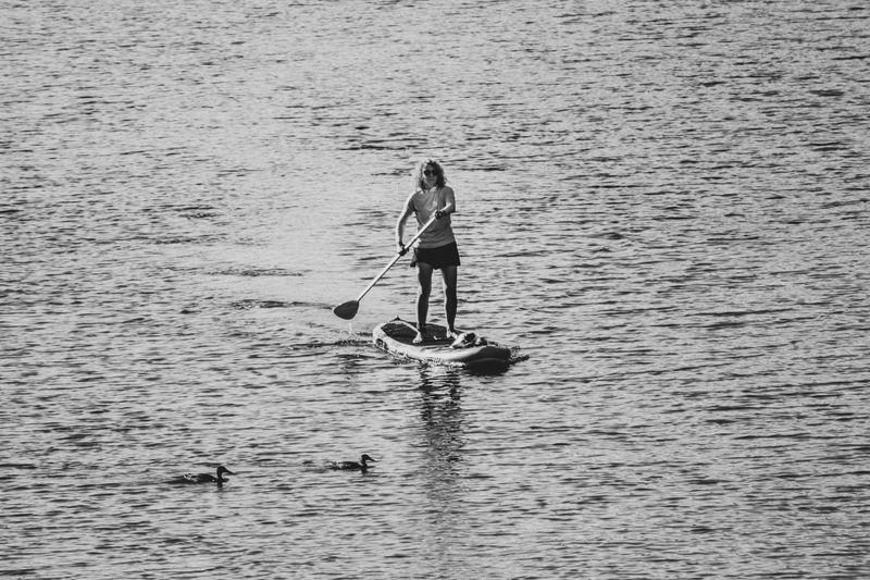 P397 фото превью