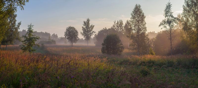 лето, поле , рассвет  фото превью
