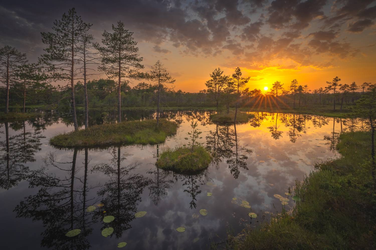болота ленинградской области, закат, пейзаж, Mikhail Ioannisian