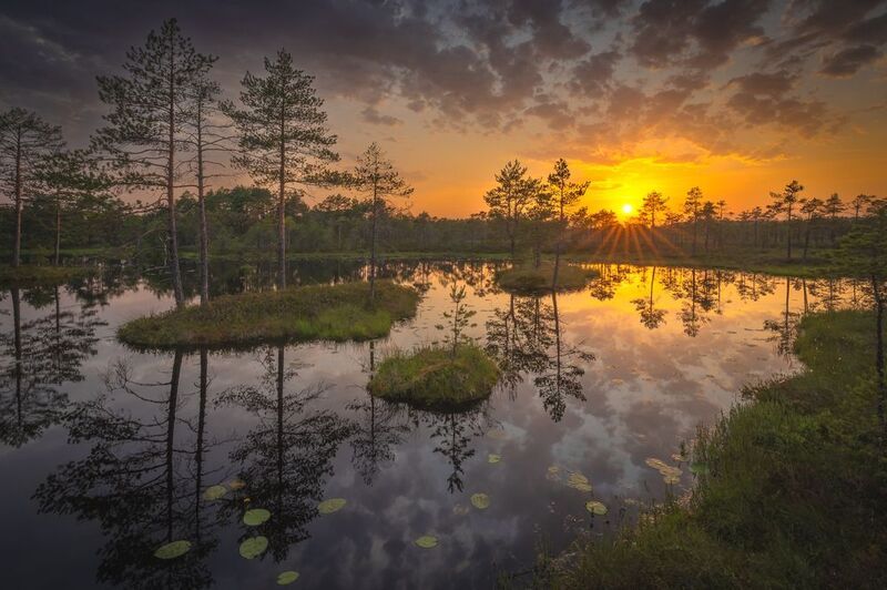 болота ленинградской области, закат, пейзаж Вечереет на болотах фото превью