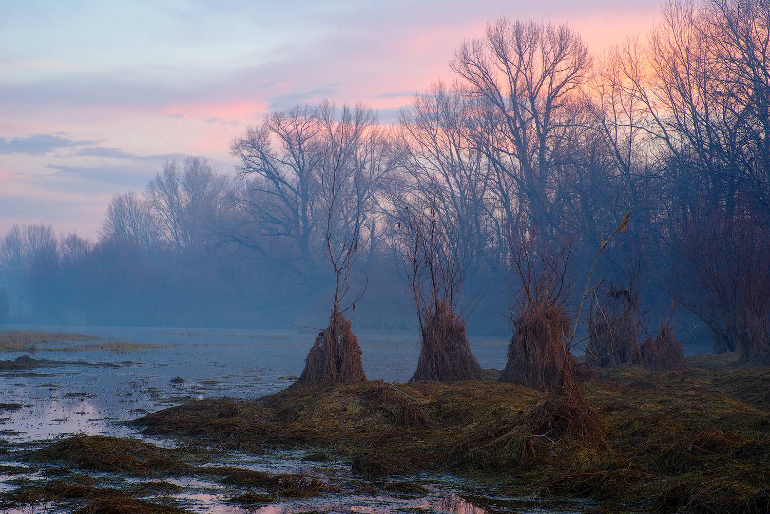 , Любослав Любомиров