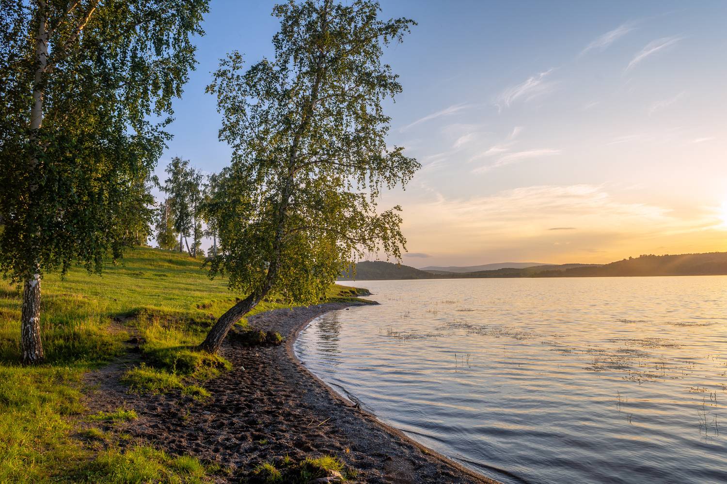 , Андрей Шарапов
