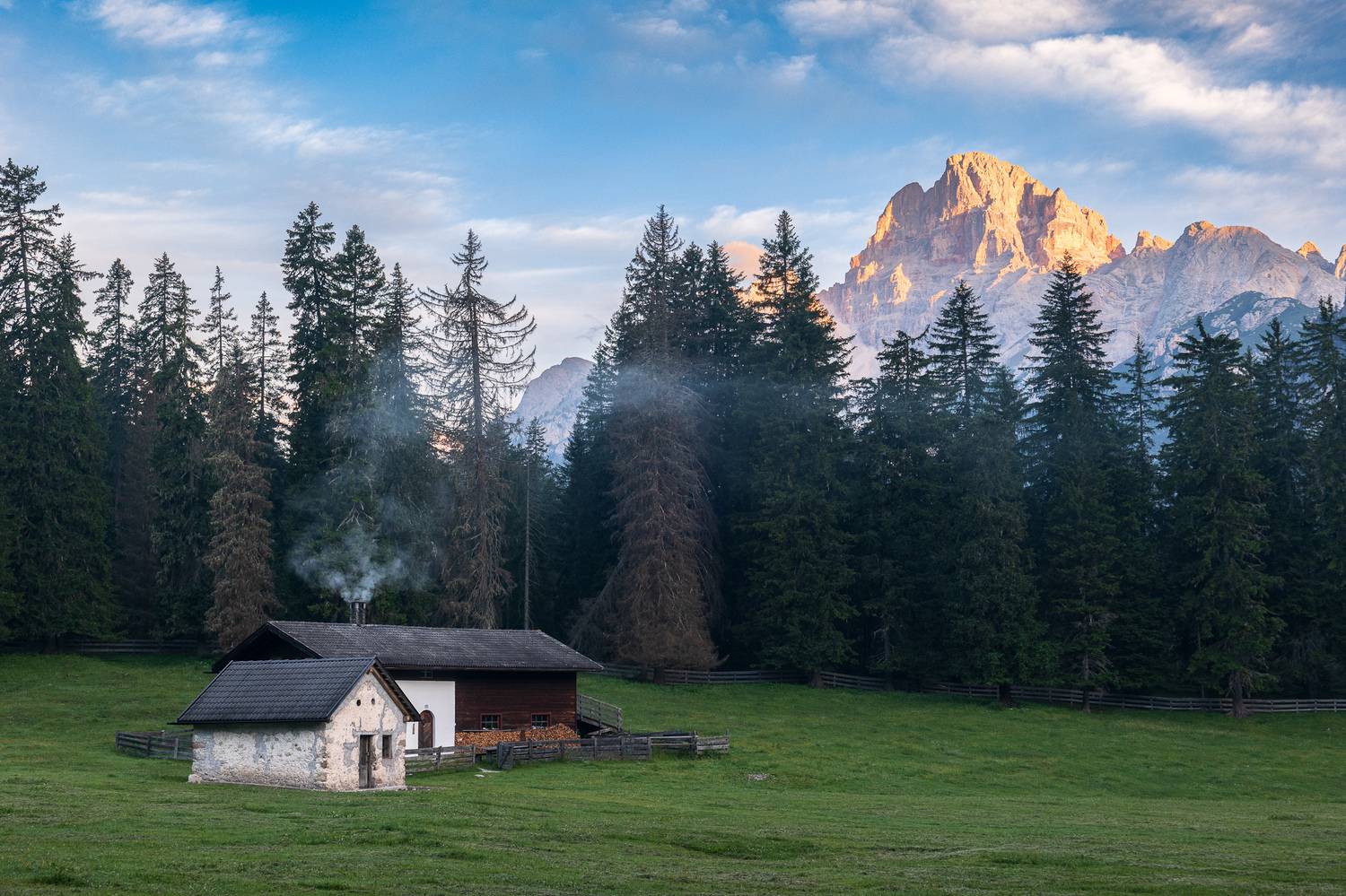 , Гордон Николай