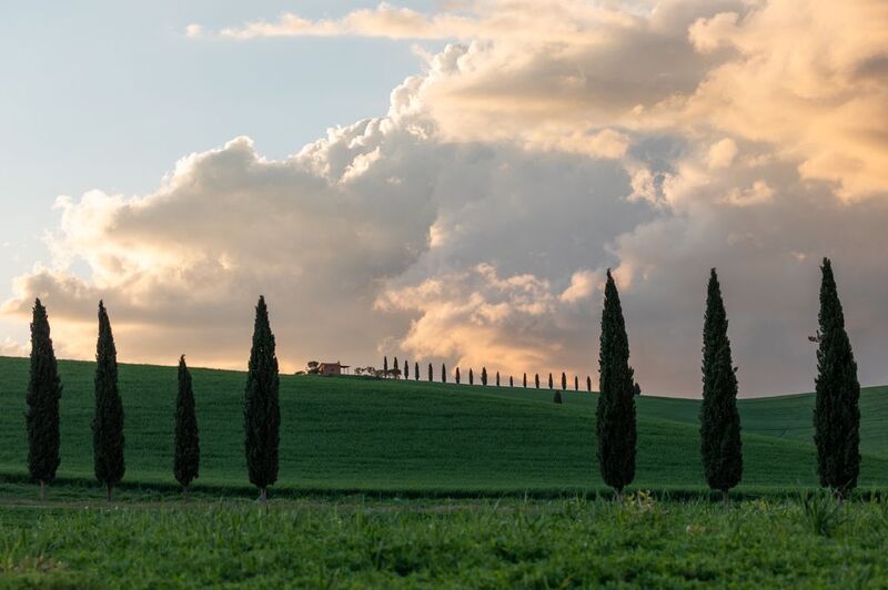 Toskana фото превью