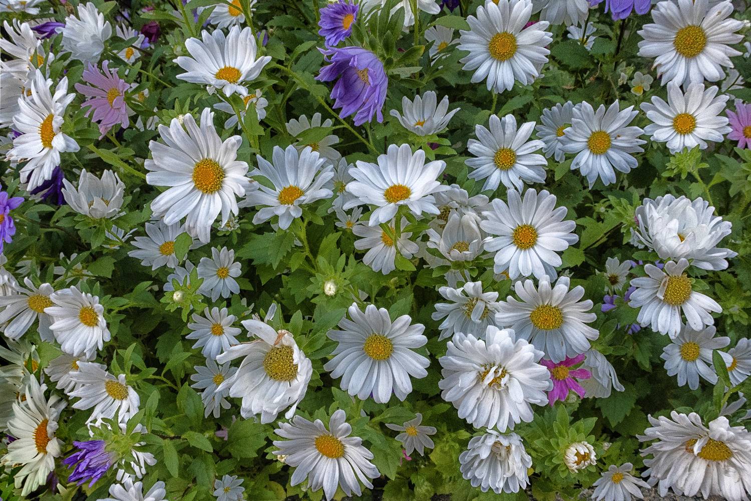 , Ушаков Валерий