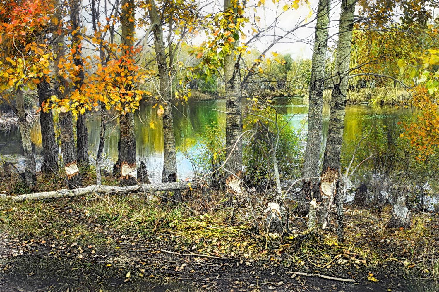 , Борис Бусыгин