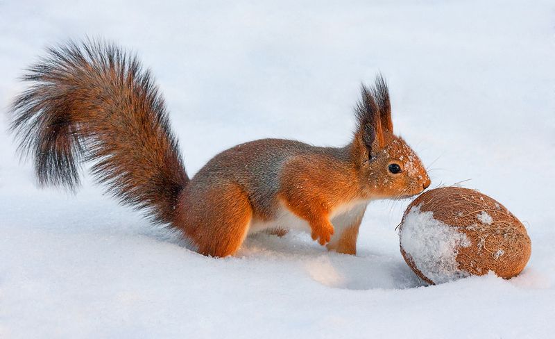jackpot фото превью