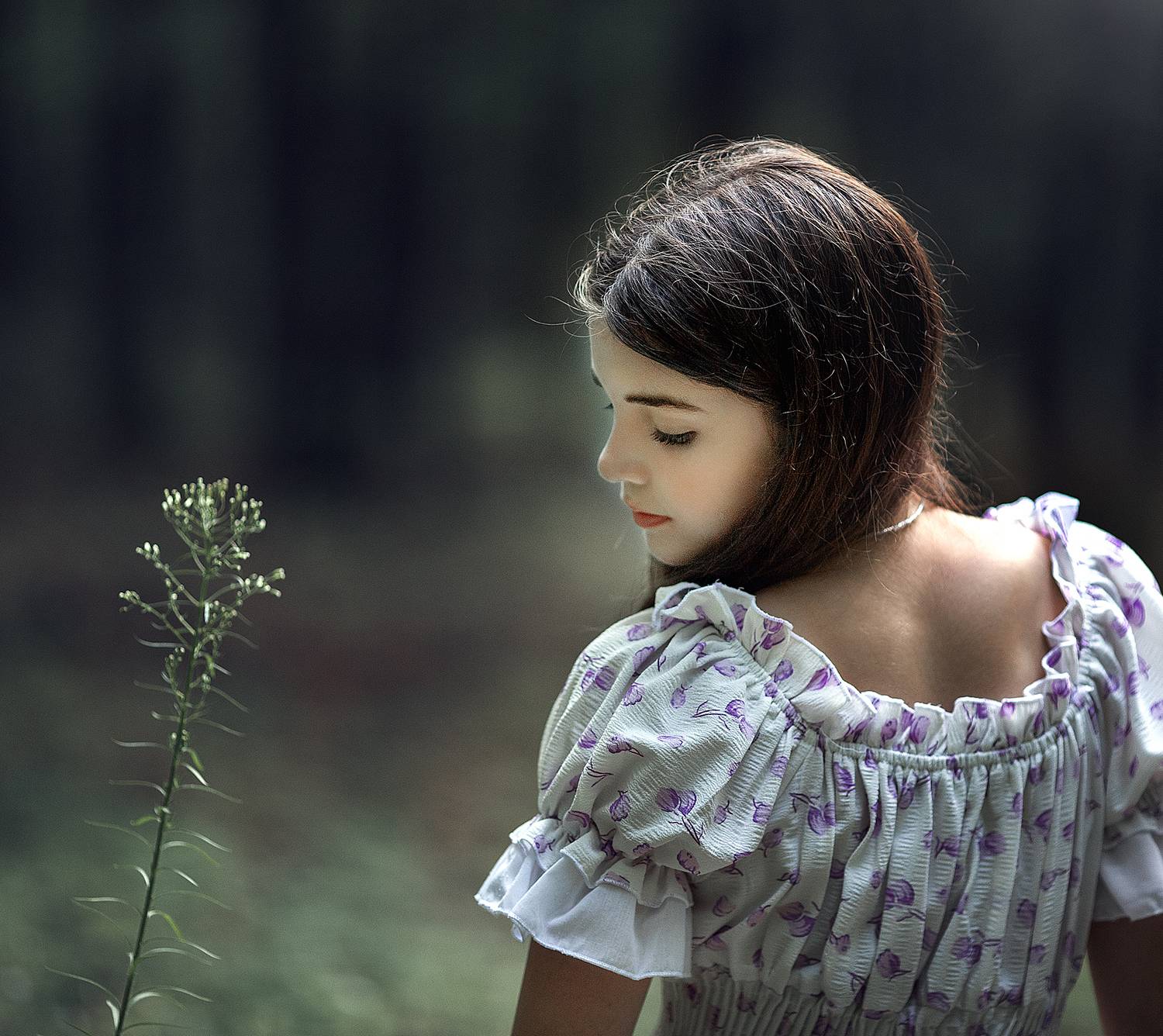 , Солнечный Александр