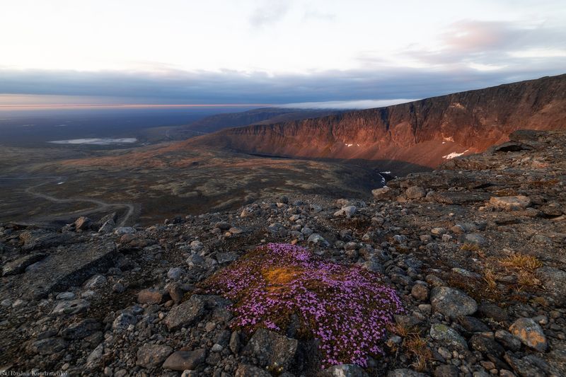 Ловозерские Тундры фото превью
