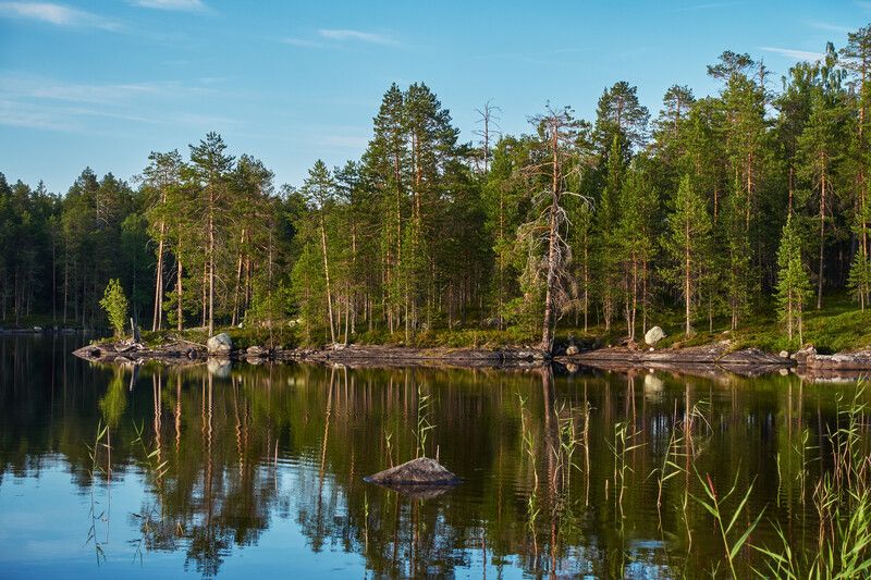 Вечер у озера фото превью