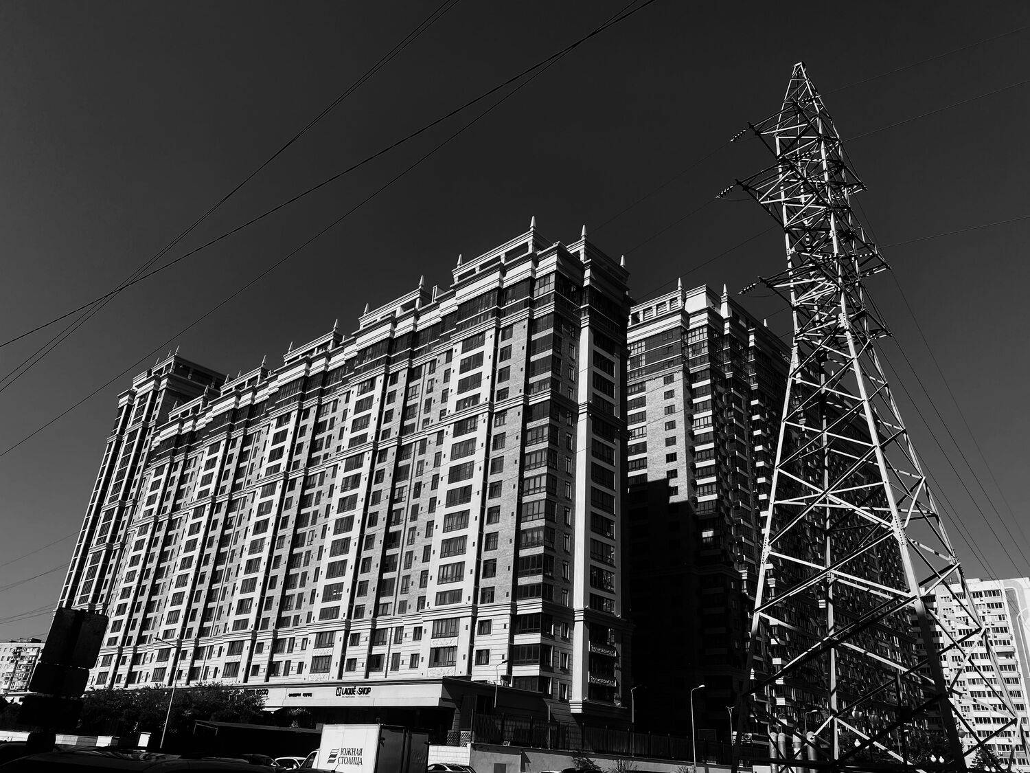 , Elena Petrikina