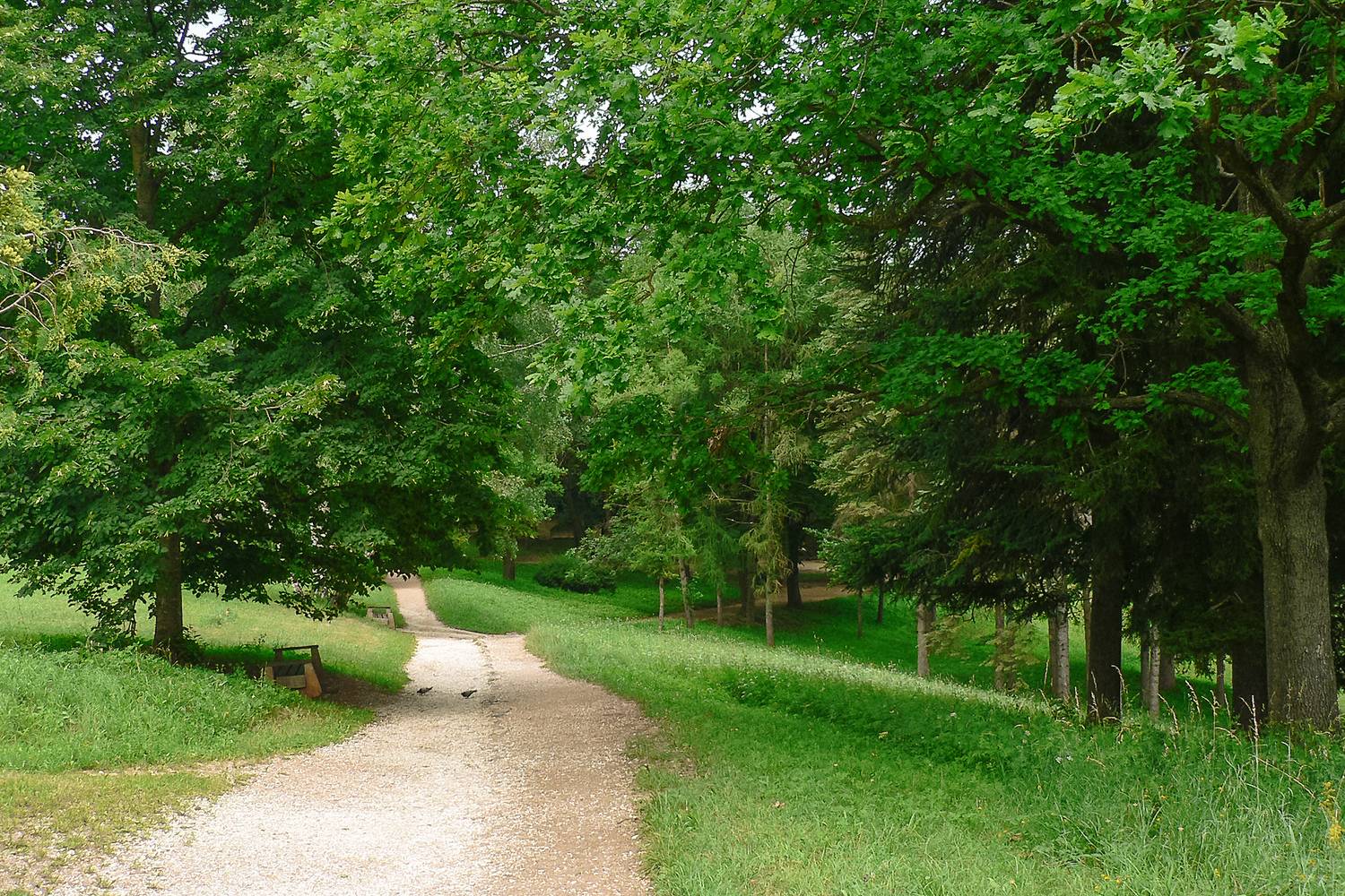кисловодск, кисловодский национальный парк, КарОл