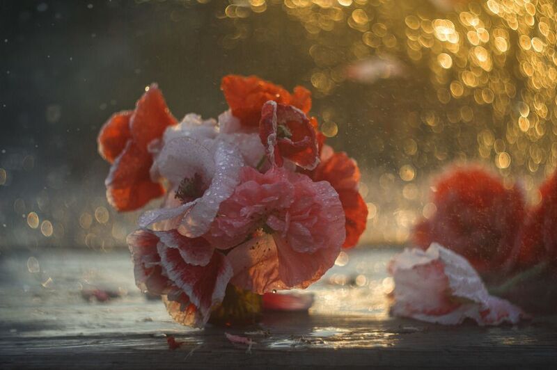 Маленькая прелесть фото превью